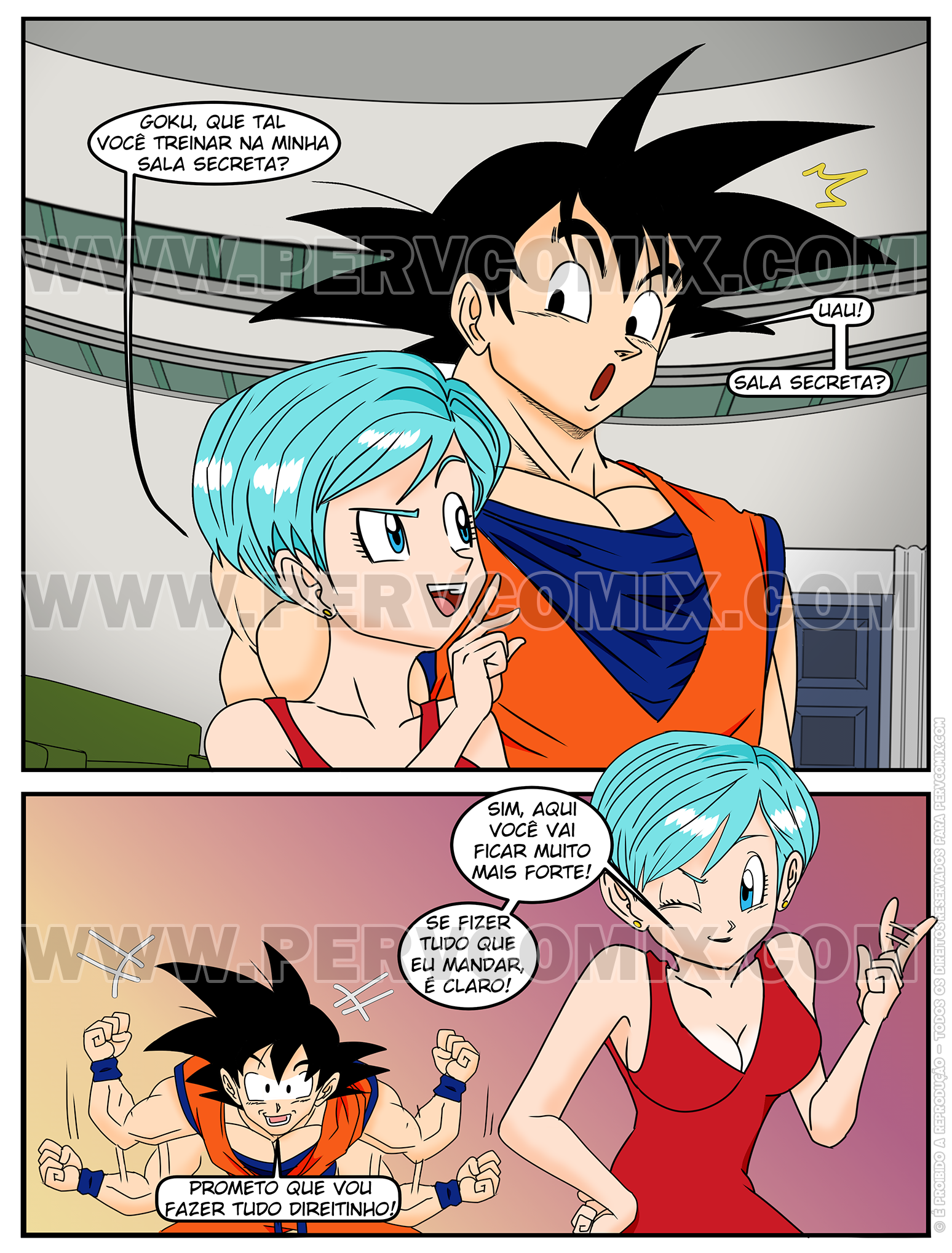 O Treinamento Especial de Bulma