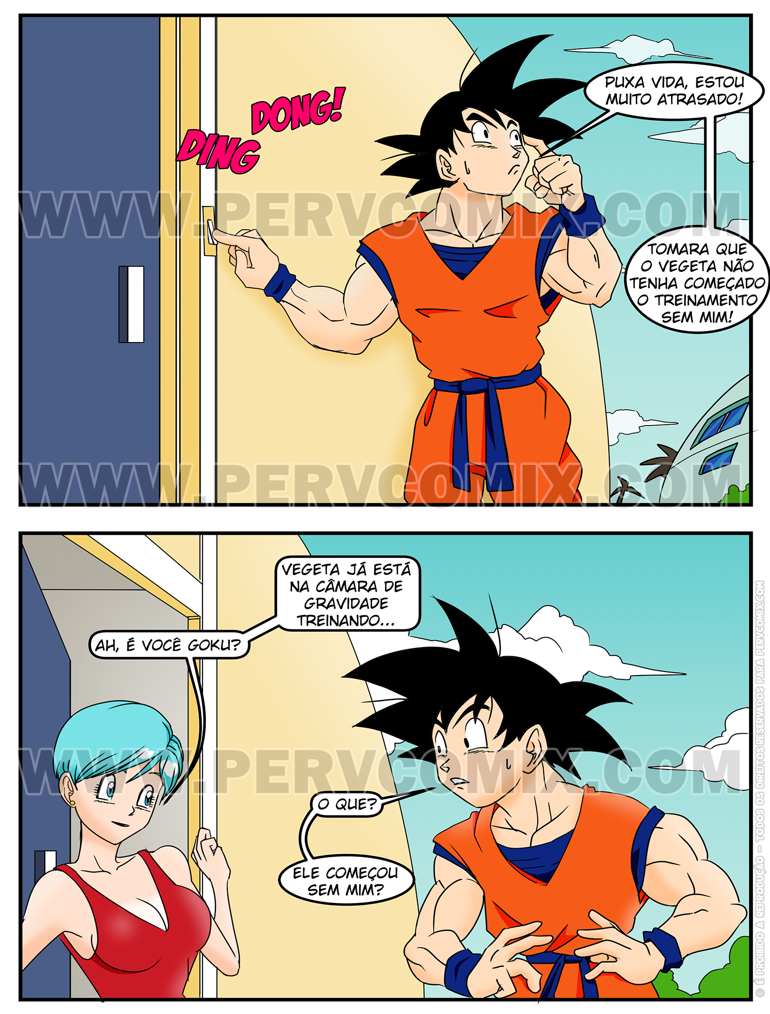 O Treinamento Especial de Bulma